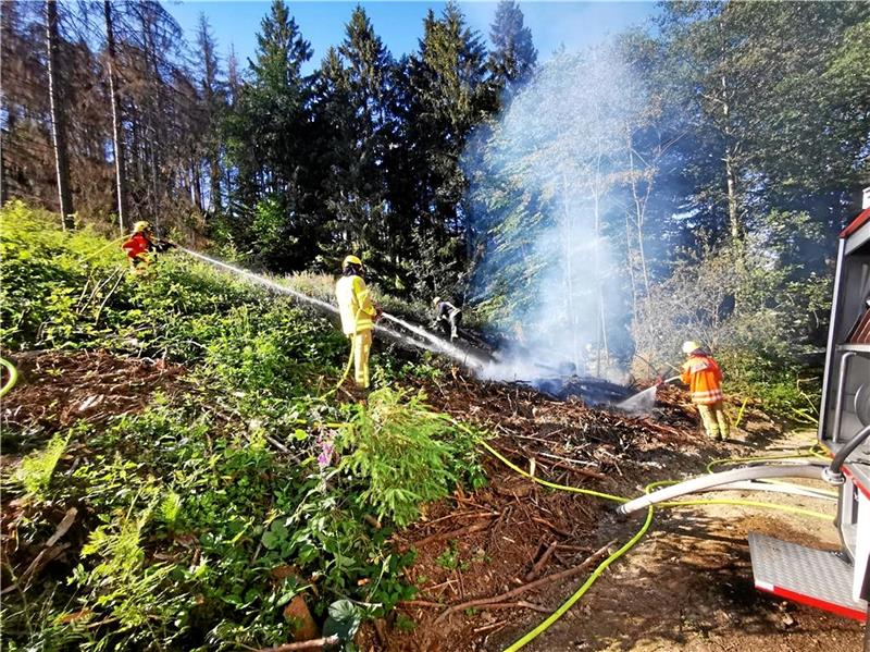 Ist Bad Harzburg ein gefährliches Pflaster? Im Sommer hielt eine Brandserie die Feuerwehr und auch die Polizei auf Trab. Meist brannte es in der Trockenen Natur. Foto: GZ-Archiv