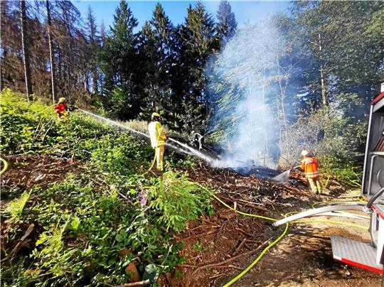 Im Sommer hielt eine Brandserie die Feuerwehr und auch die Polizei auf Trab. Meist brannte es in der Trockenen Natur. Foto: GZ-Archiv