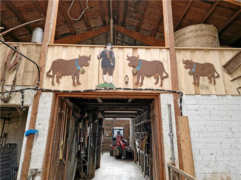 Im Stall ist eine Galerie entstanden, mit Kuh-Motiven von dem ehemaligen Bauer Beuse. Foto: Knoke