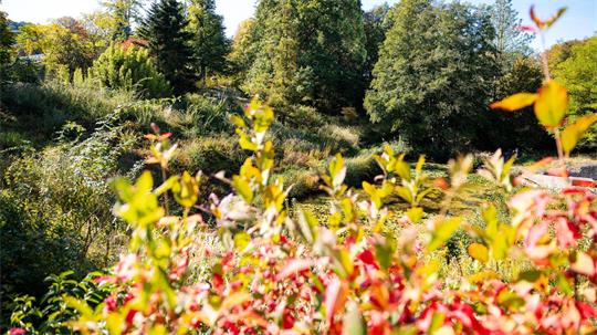 Im Süden Deutschlands werden Höchstwerte um die 23 Grad erwartet. 