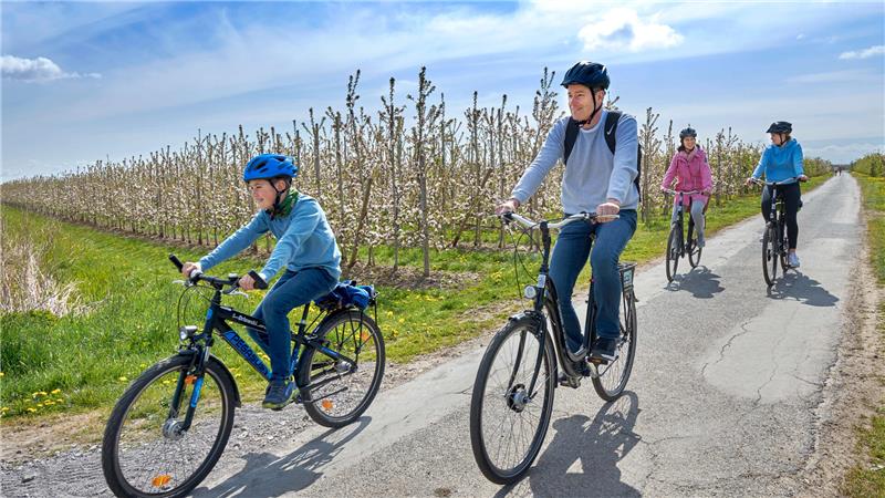 Stadtradeln 2025: Startschuss am 4. Mai mit Sternfahrt Im Team, mit der Familie, Freunden oder dem örtlichen Verein: ab dem 4. Mai werden beim Stadtradeln wieder Kilometer gesammelt.