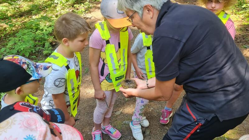 Clausthal-Zellerfelder Kindergartenkinder erobern den Wald Im Wald gibt es für die Kinder allerhand zu entdecken.