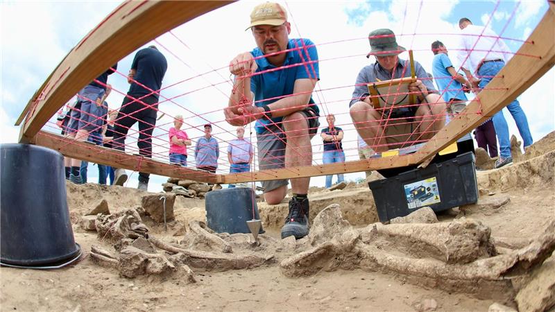 Funde aus Bronze- und frühen Eisenzeit in Windpark entdeckt Im Windpark Söllingen wurden alte Gräber entdeckt.