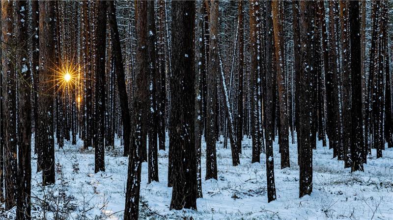 Im Winter muss der Körper auf die Vitamin-D-Speicher im Körper zugreifen. (Symbolbild)