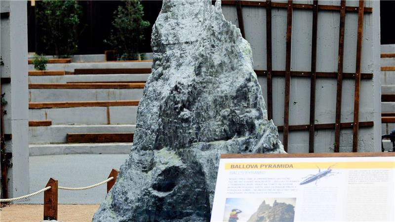 Extrem seltenes Insekt: Prager Zoo zeigt Baumhummer Im Zoo in Prag ist ein neuer Pavillon für eine der seltensten Insektenarten, den australischen Baumhummer, eröffnet worden.