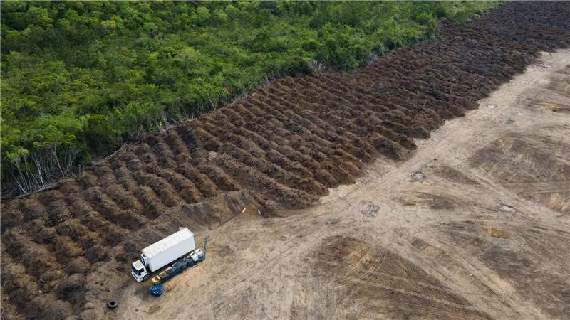 Im brasilianischen Amazonasgebiet sind seit 1985 rund 52 Millionen Hektar Natur verloren gegangen – eine Fläche größer als Spanien. (Archivbild)
