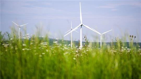 Im ersten Halbjahr wurden 53 neue Windräder in Niedersachsen gebaut. (Archivbild)