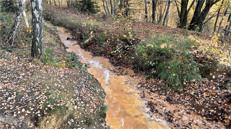 Das Grubenwasser aus dem Rammelsberg fließt als gelbbrauner und ätzender Bach am Waldesrand zu den Bergeteichen am Bollrich.