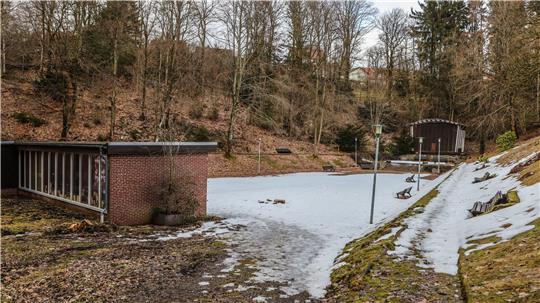 Im trostlosen Zellerfelder Kurpark soll ein neues touristisches Angebot aus Baum- und Tiny-Häusern entstehen. 