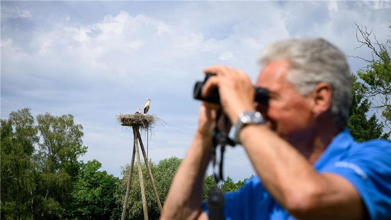 Hamburger betreut seit 50 Jahren die Störche an der Elbe Immer ein Fernglas in Griffnähe: Jürgen Pelch beobachtet und zählt nicht nur Störche. Er schaut auch bei den anderen Tieren genau hin.