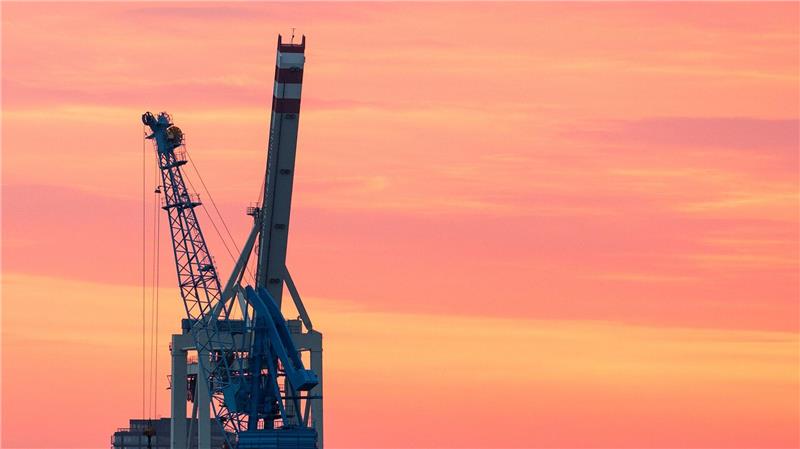 Immer mehr Ökonomen erwarten ein leichtes Plus der deutschen Wirtschaft im Gesamtjahr 2025. (Archivbild)