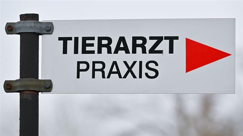 Immer mehr Tierarztpraxen im ländlichen Raum schließen, der Bedarf an Veterinären ist gerade dort aber groß. (Archivbild)