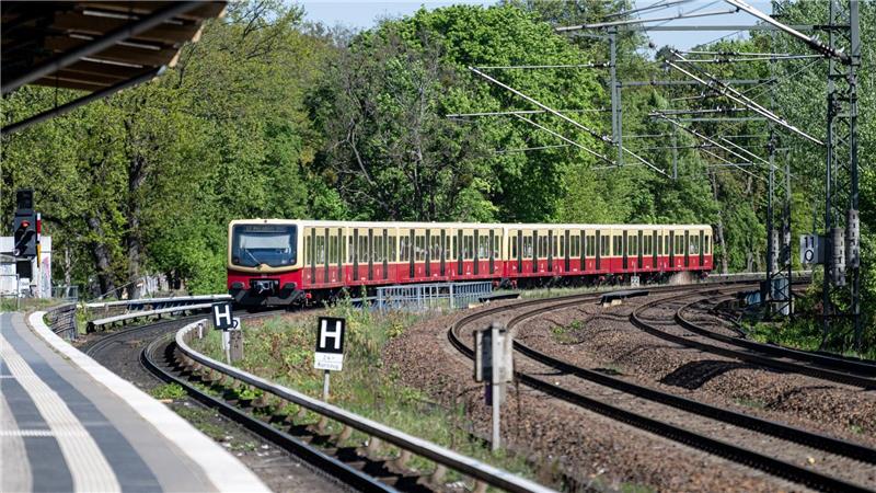Immer wieder kommt es zu schweren Unfällen, weil Menschen auf U- oder S-Bahn-Dächer klettern und mitfahren.