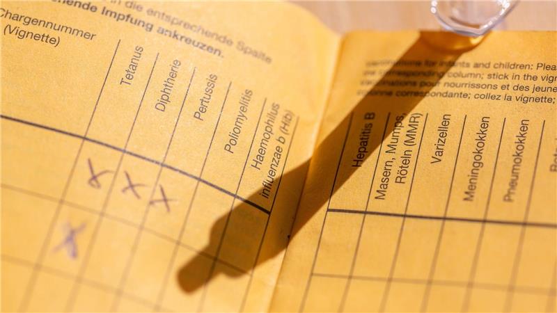 Impfpass mit Impfspalten und handschriftlichen Markierungen zu verschiedenen Schutzimpfungen