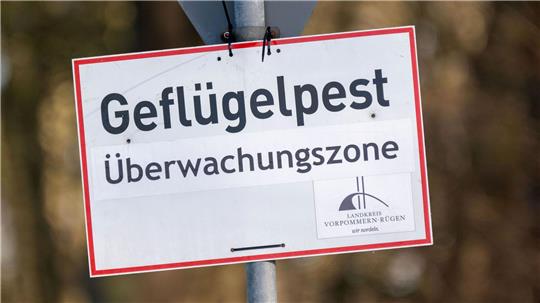 In Baden-Württemberg sind erste Fälle der Vogelgrippe nachgewiesen worden. (Symbolbild)