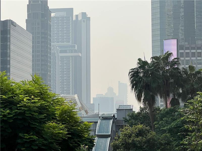 Thailand: Ärzte raten wegen Extrem-Smogs zur Maske In Bangkok und anderen Teilen Thailands herrschen derzeit hohe Feinstaubwerte.