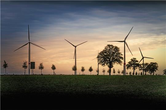 In Bornhausen werden im Sommer sechs Windräder aufgebaut. Für die Natur gibt es Ausgleichsmaßnahmen. Symbolfoto: Pixabay