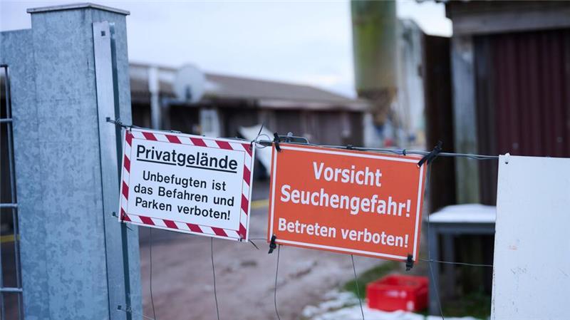 In Brandenburg gilt noch bis zunächst Mittwochnacht ein Tiertransportverbot. (Archivbild)