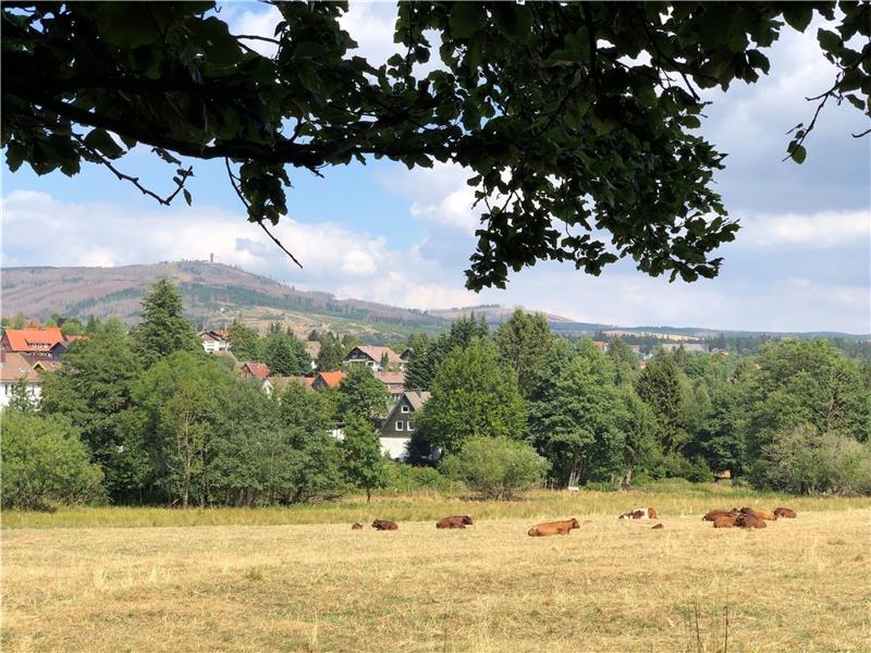 Braunlages Touristiker bereiten schon die nächste Saison vor In Braunlage kann man gut Urlaub machen. Damit auch die Gäste das so sehen, beschäftigt sich die Tourismus-Gesellschaft gerade mit der Saison 2023, für die sie um Mitwirkung aus der Bevölkerung bittet. Foto: Eggers
