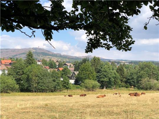 In Braunlage kann man gut Urlaub machen. Damit auch die Gäste das so sehen, beschäftigt sich die Tourismus-Gesellschaft gerade mit der Saison 2023, für die sie um Mitwirkung aus der Bevölkerung bittet. Foto: Eggers