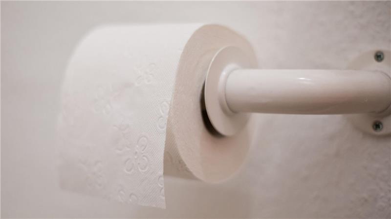 In Deutschland ist die Intimreinigung mit Toilettenpapier die Regel, 134 Rollen pro Jahr soll der durchschnittliche Bundesbürger verbrauchen. (Illustration)