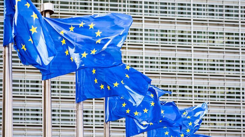 Europawahl 2024: Rechte Hoffnungen und ein grünes Dilemma In Deutschland und den meisten anderen EU-Staaten wird heute das neue Europäische Parlament gewählt.
