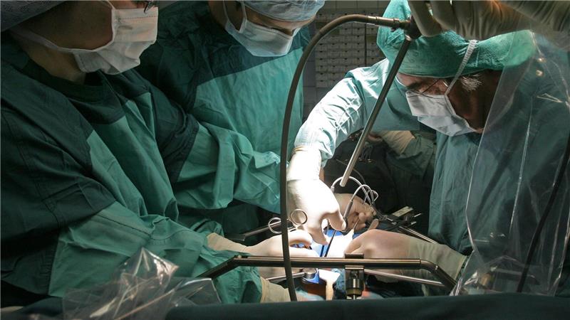 Schweineleber in lebenden Menschen transplantiert In Deutschland warten über 8.000 Menschen auf eine Organspende, vielfach schon seit Jahren.