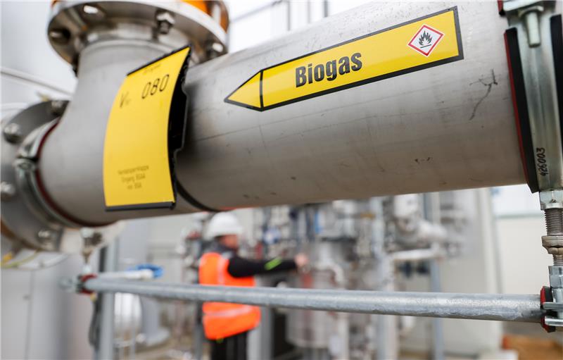 In Ellringen sind bald alle Haushalte dank einer Biogas-Anlage unabhängig vom russischen Gas. Symbolfoto: dpa