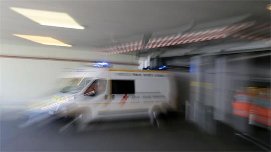In Frankreich ist erstmals eine Shamonda-Virus-Infektion bei einem Menschen festgestellt worden (Archivbild).