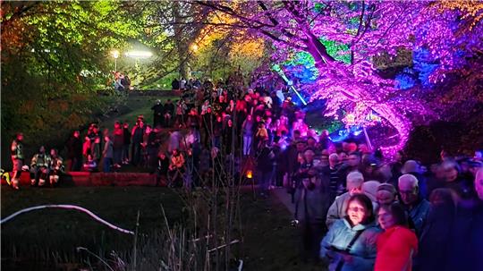 Feiernde Menschen bei den illuminierten Wallanlagen
