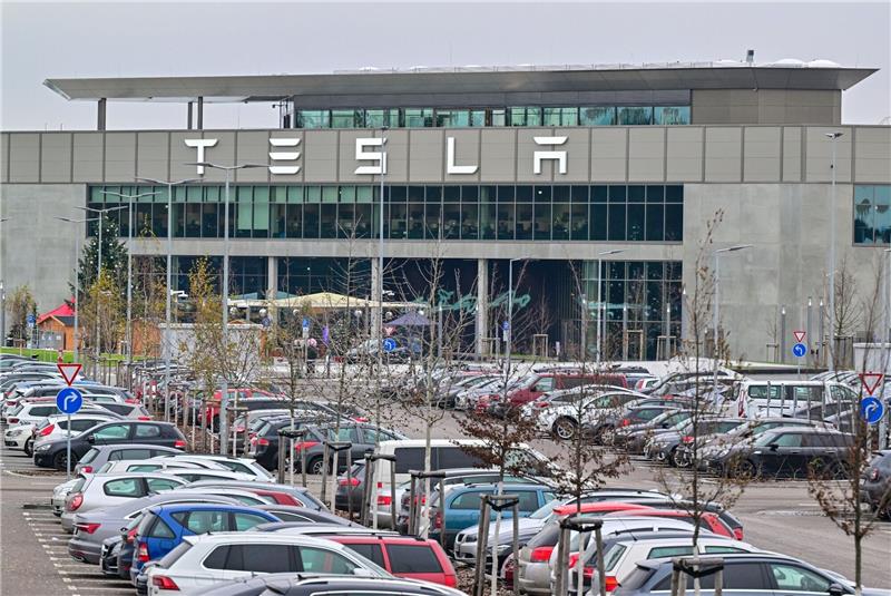 Umweltschützer: Politik soll Tesla-Erweiterung stoppen In Grünheide steht die einzige europäische Fabrik des Unternehmens von Milliardär Elon Musk.