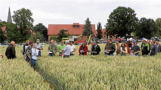 In Gruppen geht es für die Besucher des Feldtags durch die Getreidefelder, um sich über die Ergebnisse der Anbauversuche zu informieren.