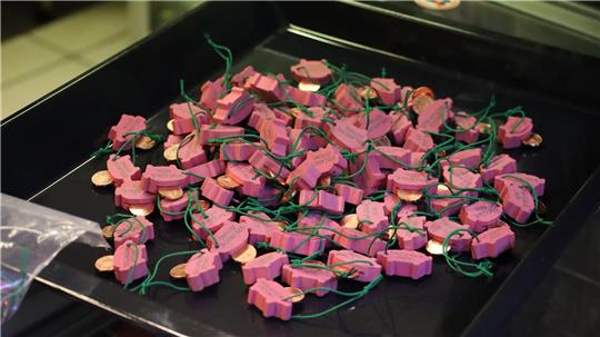 Ein Backblech auf dem viele kleine Glücksschweine liegen.