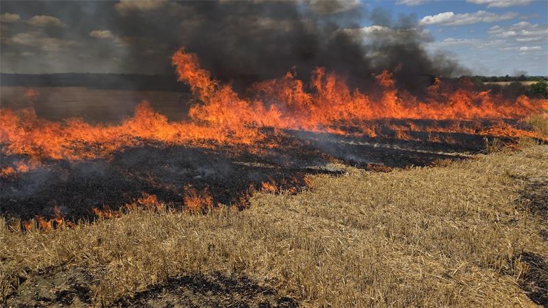 Feuer breitet sich über ein Feld mit trockenem Gras aus, schwarzer Rauch steigt in den Himmel.