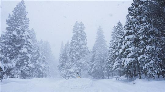 In Kalifornien ist viel Schnee gefallen.