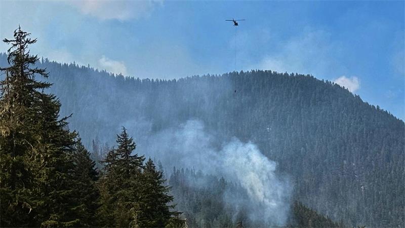 Je schneller Wälder brennen, desto intensiver brennen sie In Kanada und den USA wüten häufig verheerende Waldbrände.