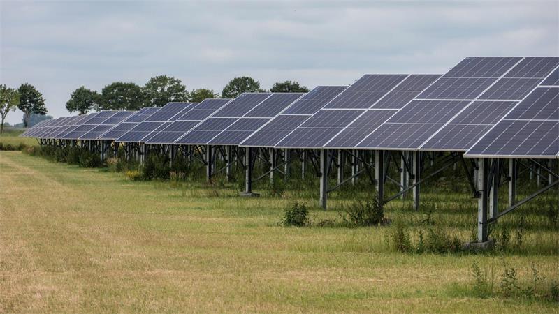 E-Trends: Vom Gefangenenwagen bis zum Stallroboter In Lemwerder an der Weser produzieren zahlreiche Solarmodule Strom auf einer Fläche, auf der auch Tierfutter angebaut wird.
