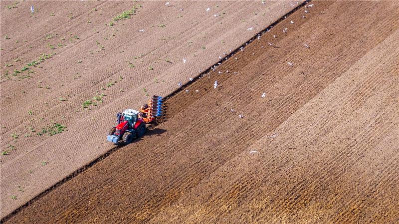 Bilder des Tages In Medewege zieht ein Traktor einen Pflug über einen Acker und bereitet den Boden für die nächste Aussaat vor.