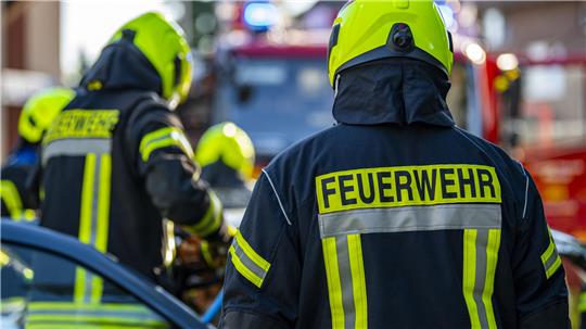 Das Bild zeigt Feuerwehrleute von hinten, die gerade im Einsatz sind, und ein Feuerwehrauto.
