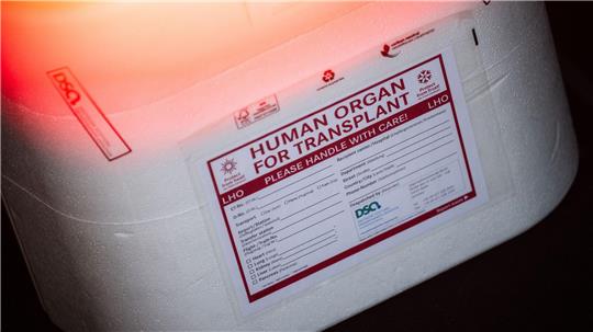 In Neapel braucht der kleine Junge dringend ein neues Spenderherz. (Illustration)