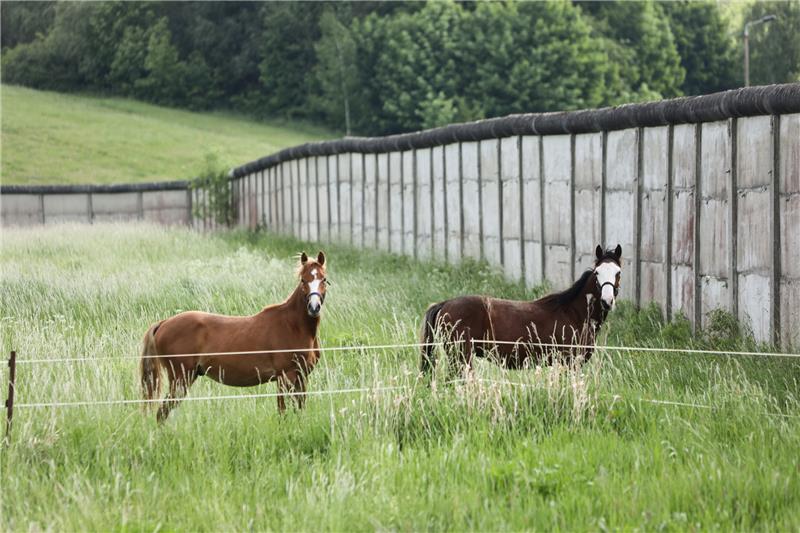 In Neuenkirchen vermeldet die Polizei Goslar eine exhibitionsistische Tat und einen Vorfall gegen das Tierschutzgesetz. Symbolfoto: dpa