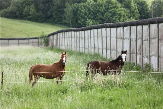 In Neuenkirchen vermeldet die Polizei Goslar eine exhibitionsistische Tat und einen Vorfall gegen das Tierschutzgesetz. Symbolfoto: dpa