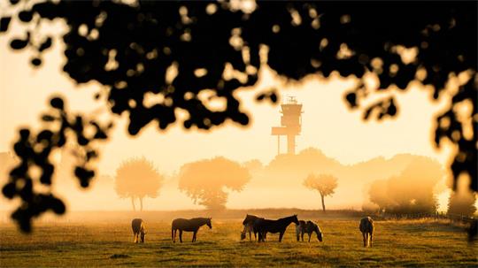 In Niedersachsen und Bremen werden zu Wochenbeginn sommerliche Temperaturen erwartet. (Symbolbild)