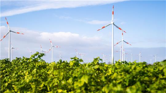 In Nord- und Ostdeutschland sollen mehrere neue Windparks entstehen. (Archivfoto)