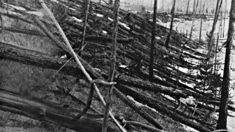 Gefahr aus dem All: Menschheit forscht zur Asteroidenabwehr In Ostsibirien wurden zahlreiche Bäume von dem Asteroiden umgeknickt. (Handout)