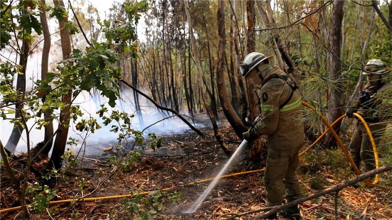 Bereits vier Tote bei Waldbränden in Portugal In Portugal gibt es eine leichte Entspannung bei den schweren Waldbränden. Noch aber sind rund 1.400 Feuerwehrleute im Einsatz.
