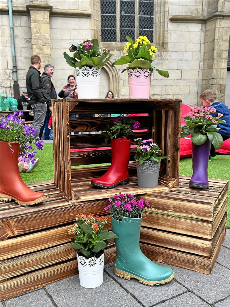 Gartenmarkt lockt viele Botanik-Liebhaber auf den Jakobikirchhof In Töpfen und in Stiefeln: Blumen werden beim Gartenmarkt in Szene gesetzt. Foto: Sowa