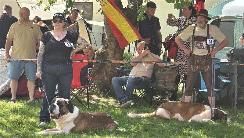 Zwei Personen mit Startnummern stehen neben großen Hunden auf einer Wiese vor einem Baum mit einer rot-gelben Fahne, im Hintergrund weitere Personen und Zelte.