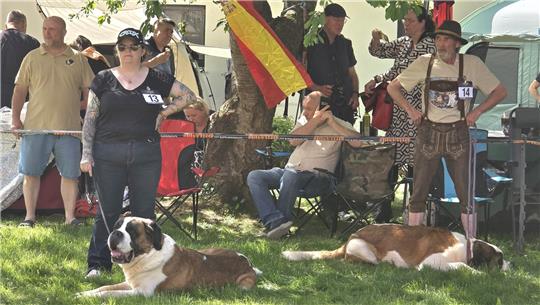 Zwei Personen mit Startnummern stehen neben großen Hunden auf einer Wiese vor einem Baum mit einer rot-gelben Fahne, im Hintergrund weitere Personen und Zelte.