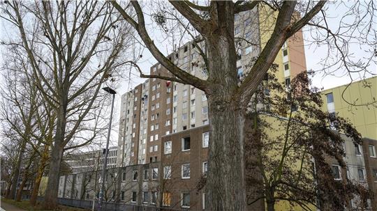 In dem Gebäude soll bereits aufgeräumt werden. 